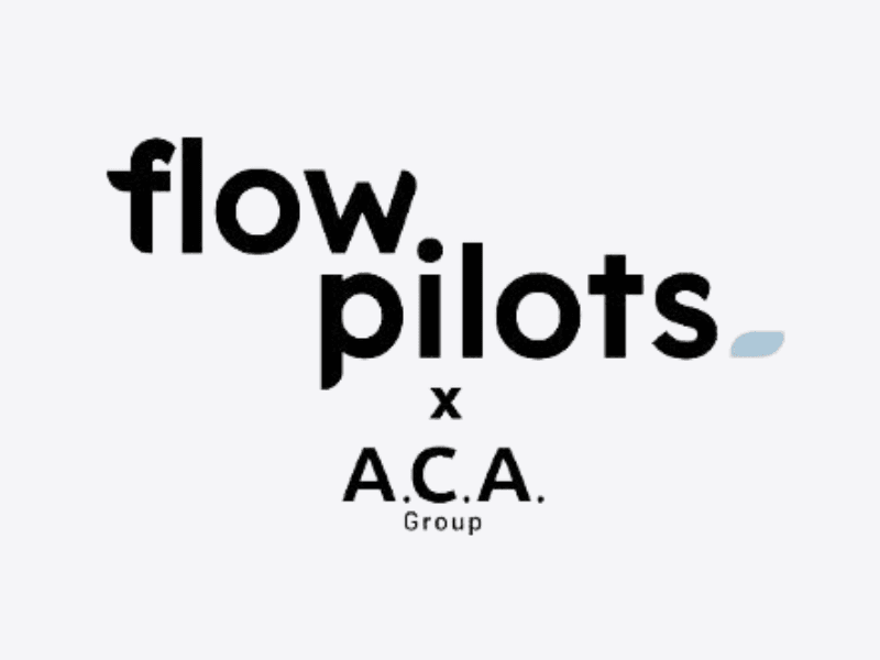 logo Flow Pilots